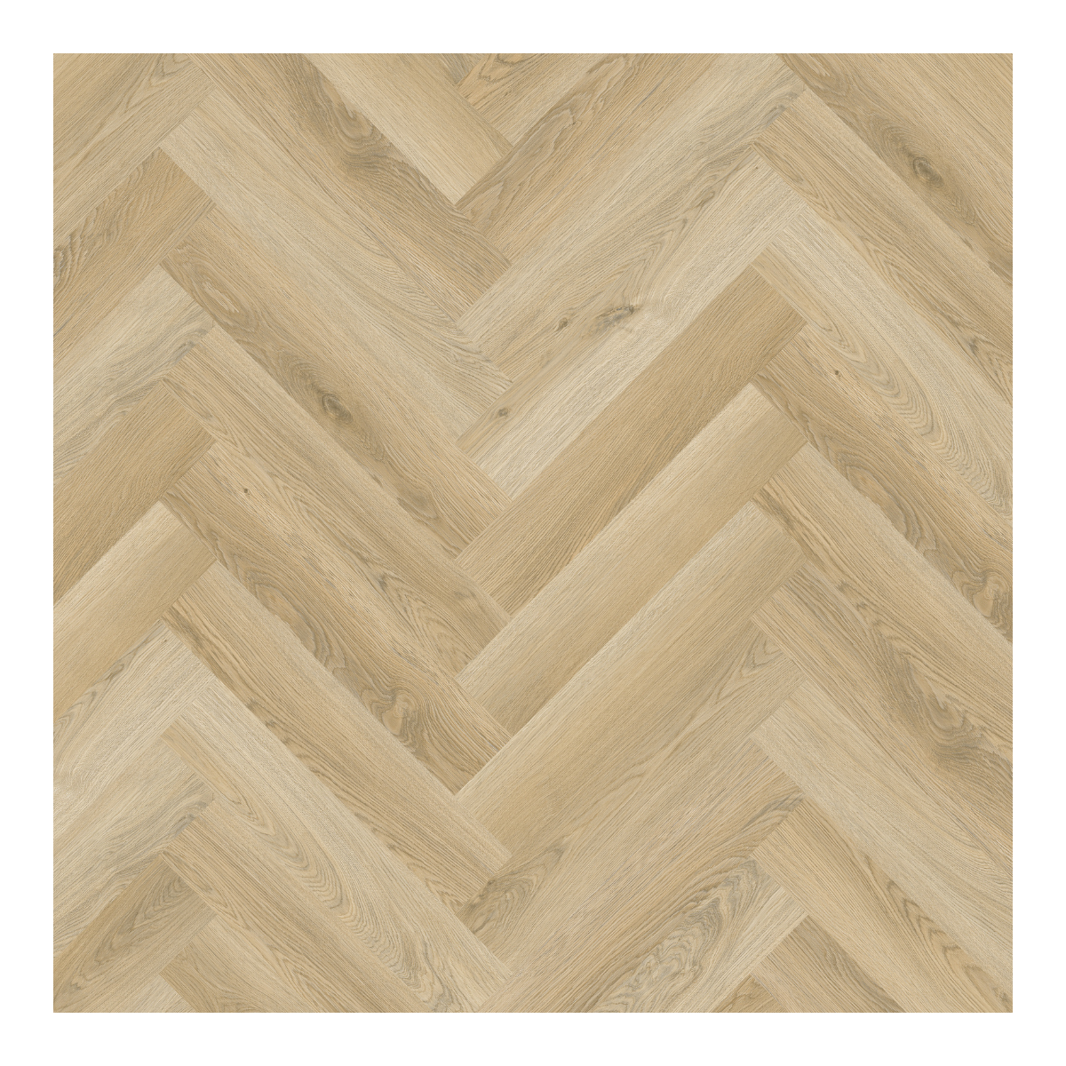 LVT sildebensparket
