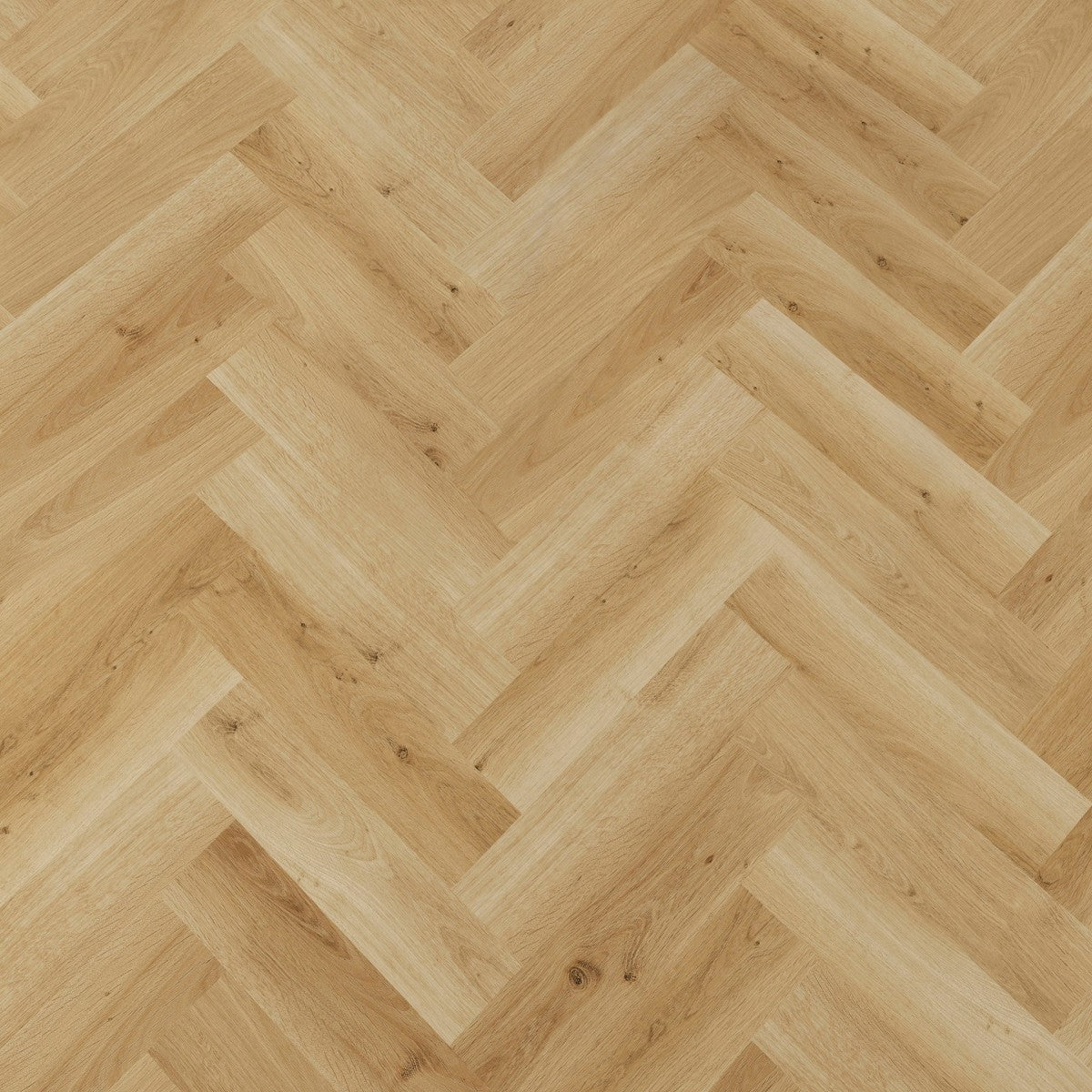 LVT Sildeben